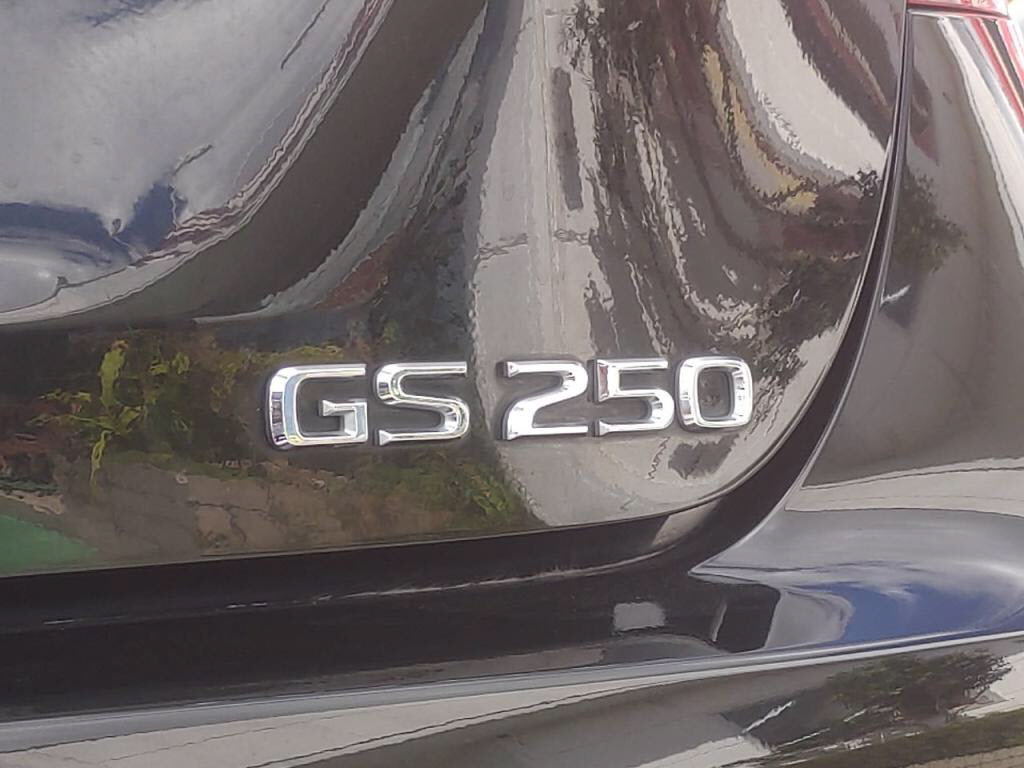 ＧＳＧＳ２５０の写真 28