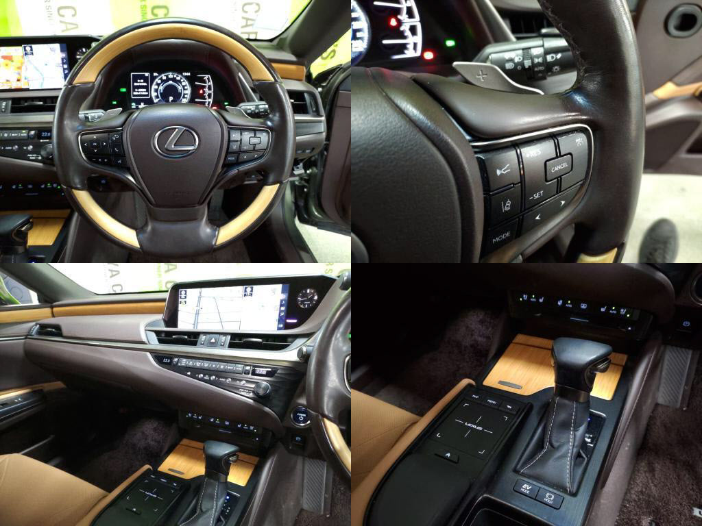 ＥＳＥＳ３００ｈバージョンＬの写真 5