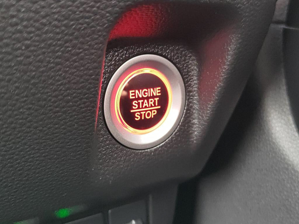Ｎ－ＷＧＮスタイルプラスビターの写真 3