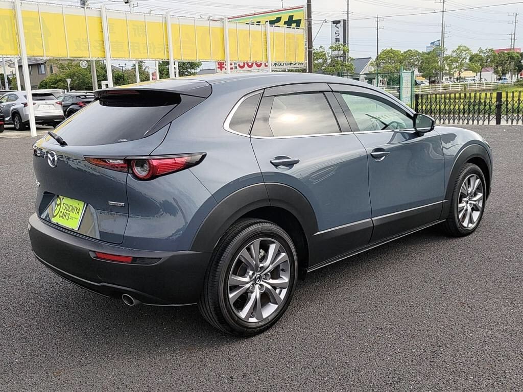 ＣＸ－３０ＸＤプロアクティブツーリングセレクションの写真 11