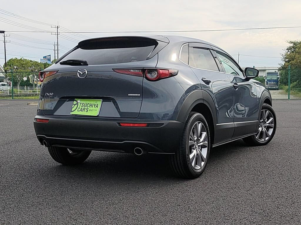 ＣＸ－３０ＸＤプロアクティブツーリングセレクションの写真 2