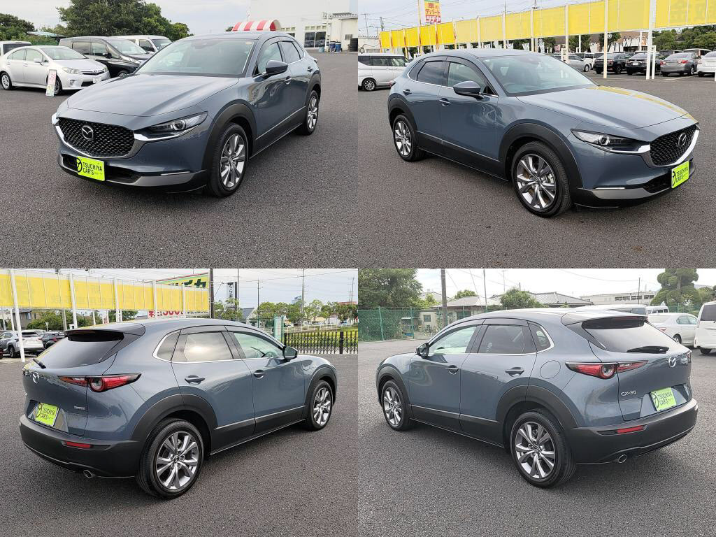 ＣＸ－３０ＸＤプロアクティブツーリングセレクションの写真 4