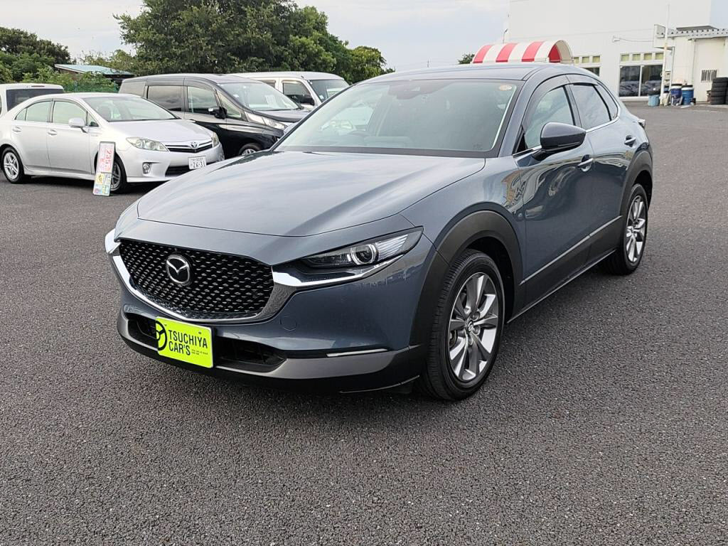 ＣＸ－３０ＸＤプロアクティブツーリングセレクションの写真 9