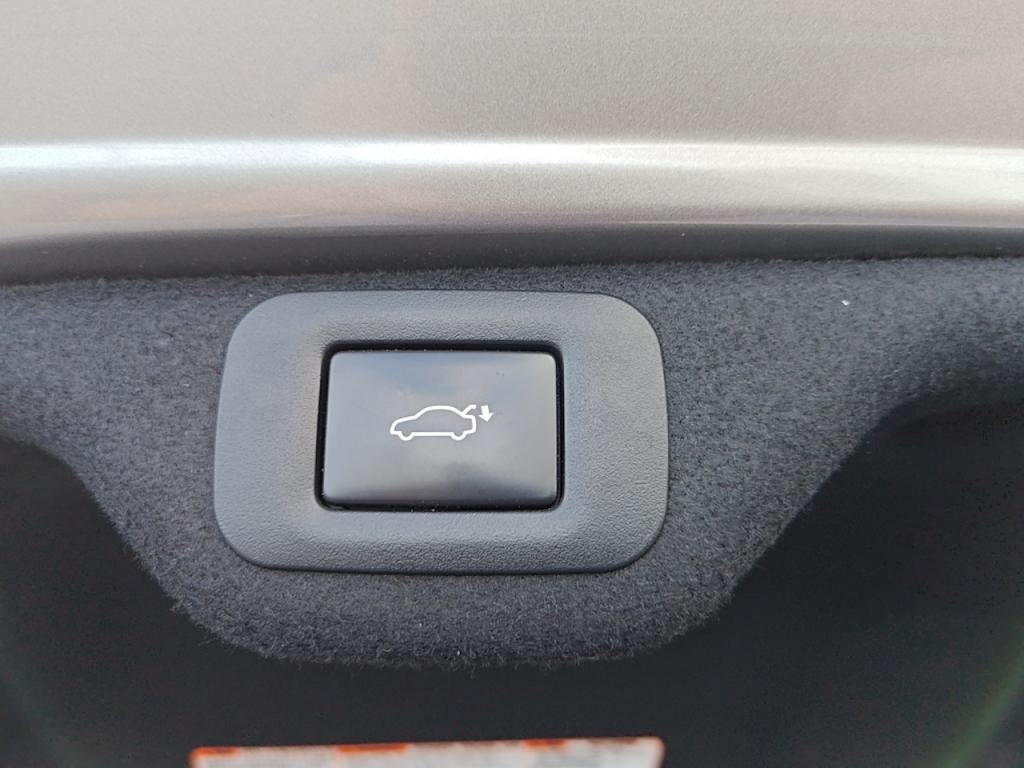 ＥＳＥＳ３００ｈバージョンＬの写真 28